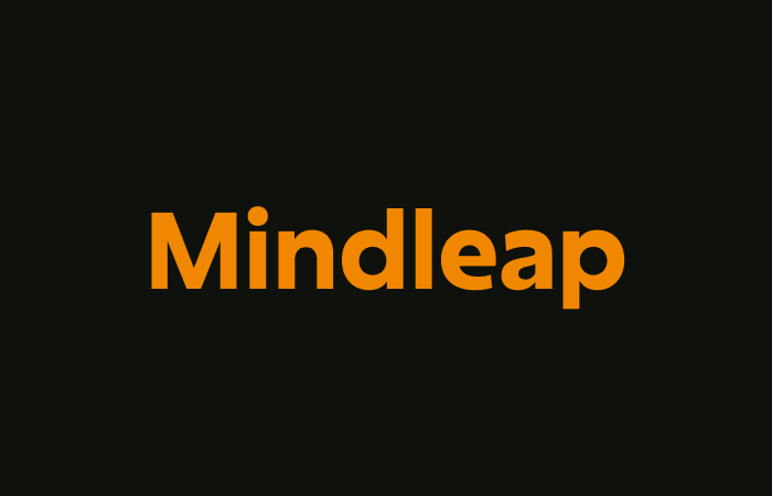 NameMaker Generated Logo Mindleap